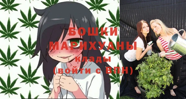 PSILOCYBIN Заволжье