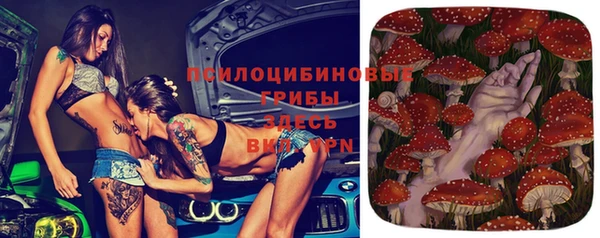 PSILOCYBIN Заволжье