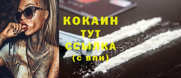 PSILOCYBIN Заволжье