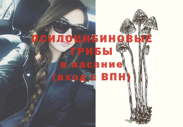 PSILOCYBIN Заволжье