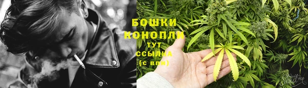 мяу мяу мука Заводоуковск